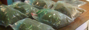 تریاک در شیشه های خیارشور از ایران به کانادا وارد می شده
