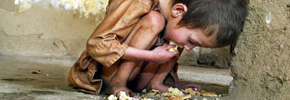 چهل درصد غذا در آمریکا به هدر می رود /دکتر پرویز قدیریان