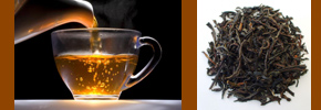 چای سیاه (معمولی) و بیماری قند/ دکتر پرویز قدیریان