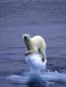 پدیده آب شدن یخ های قطبی به شدت ادامه دارد 