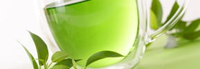 چای سبز جلوی پیشرفت آلزایمر را می گیرد/ دکتر پرویز قدیریان