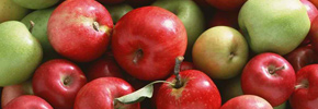 سیب را بهتر بشناسید/ دکتر پرویز قدیریان