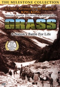 Grass-poster