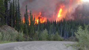 آتش سوزی وسیع و گسترده در جنگل های منطقه لیتون بی سی