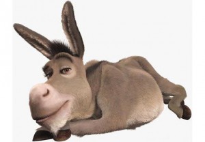donkey-H3