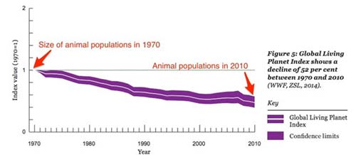 آمار مربوط به کاهش حیوانات بر روی زمین 