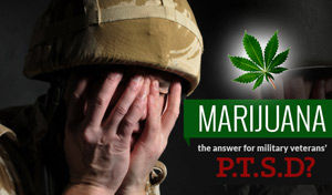 marijuana-military-ptsd