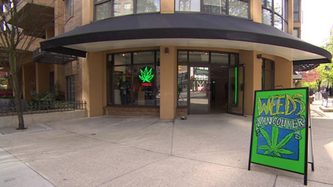 marijuana-store-toronto