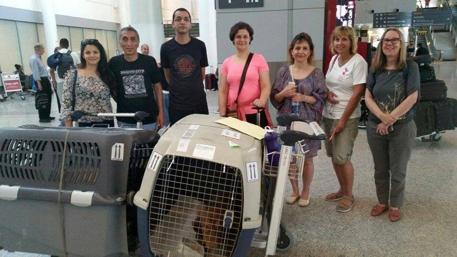آزاده و ماهان (چهارم و پنجم از راست) مسافرانی که دی کاپریو و امین را با خود آوردند در فرودگاه مورد استقبال تیم وفا قرار گرفتند 