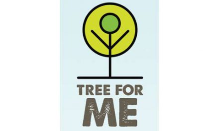 یک درخت رایگان برای تو، پوشش درختی برای همه ی تورنتو