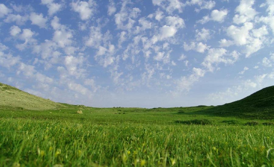 اعلامیه حقوق بشر؛سنگ بنای حقوق جهانی انسان/عزت مصلی نژاد