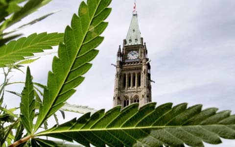 marijuana-pot-parliament-decriminalization