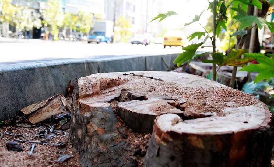 گزارش ماهانه؛ نگاهی اجمالی به وضعیت حقوق بشر ایران در بهمن ۹۵