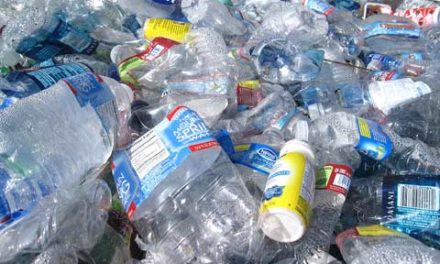 تلاش تورنتو برای کاهش میزان مصرف پلاستیک