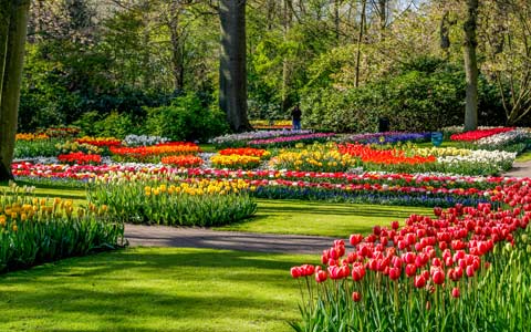 بهار امسال و جشنواره بزرگ گل لاله در اتاوا