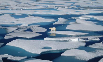 سرعت آب شدن یخ های قطب جنوب سه برابر پیش بینی های قبلی است