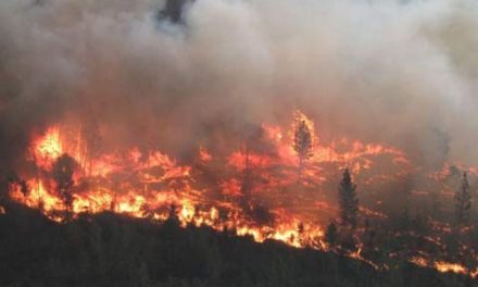 نخست وزیر بریتیش کلمبیا: شاید مردم این استان باید به آتش سوزی عادت کنند