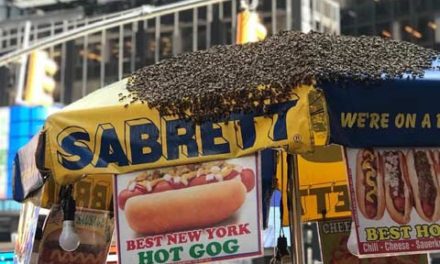 حمله ی زنبورها به دکه ی هات داگ فروشی در میدان تایمز نیویورک