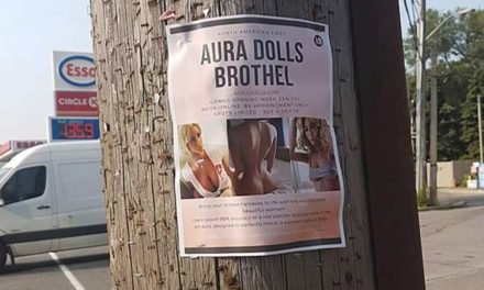 افتتاح اولین فاحشه خانه ی عروسکی در تورنتو