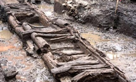 کشف حصاربندی چوبی ۳۲۵ ساله ی کبک سیتی