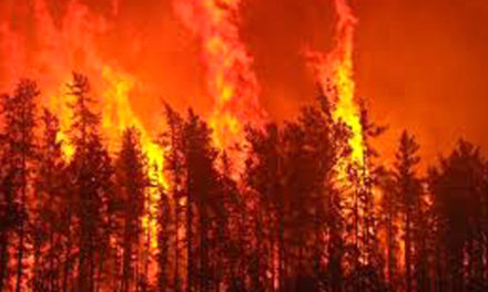 جریمه ی سنگین برای باعث و بانی آتش سوزی استان بریتیش کلمبیا