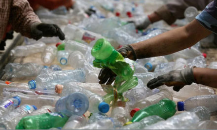 ممنوعیت استفاده از پلاستیک یک بار مصرف برای صنعت جنگلداری انتاریو بسیار سودمند است