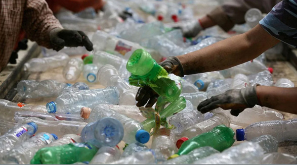 ممنوعیت استفاده از پلاستیک یک بار مصرف برای صنعت جنگلداری انتاریو بسیار سودمند است