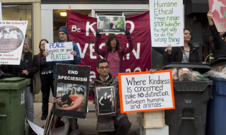 تظاهرات فعالان حقوق حیوانات به شیوه ی جدیدی در تورنتو برگزار شد