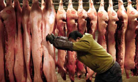 قوانین سختگیرانه تر چین برای بررسی گوشت خوک وارداتی از کانادا