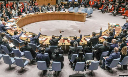 نروژ و ایرلند در شورای امنیت سازمان ملل صاحب کرسی شدند